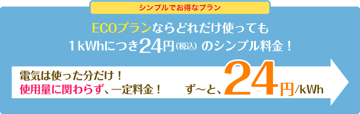 シンプルでお得なプラン